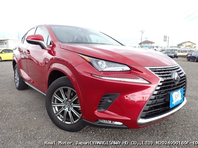 2018 LEXUS NX thumbnail 2