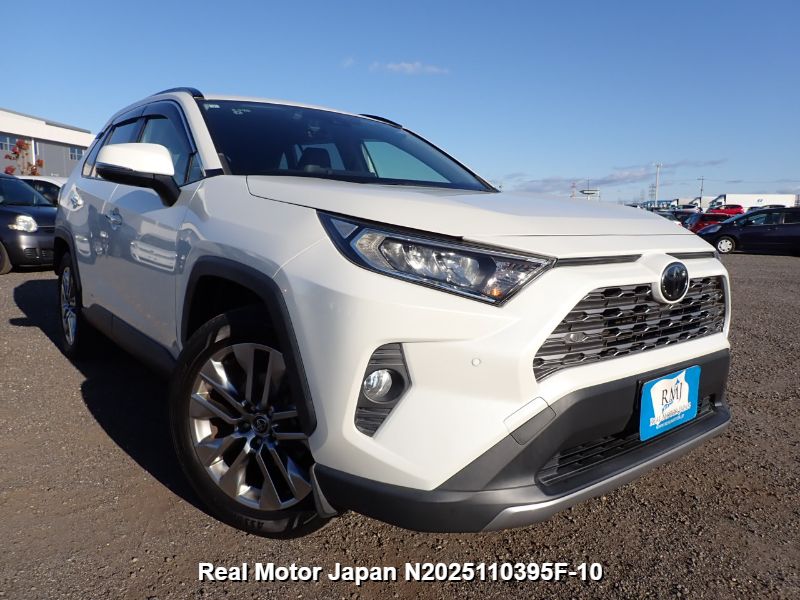 2019 TOYOTA RAV4 thumbnail 2