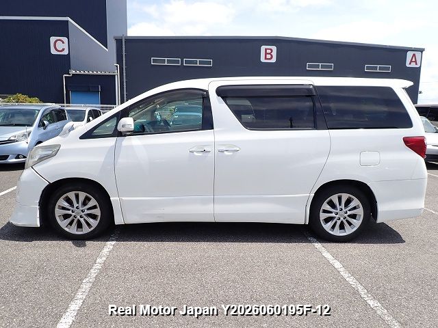 2009 TOYOTA ALPHARD thumbnail 3